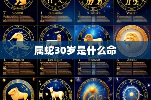 属蛇30岁是什么命