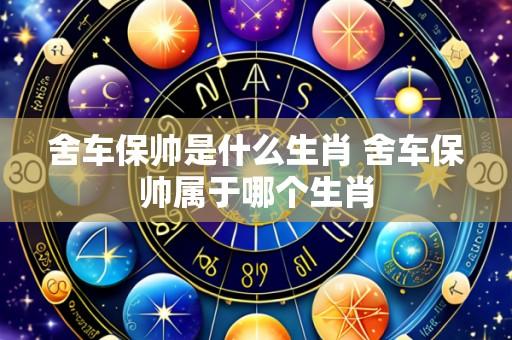 舍车保帅是什么生肖 舍车保帅属于哪个生肖