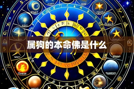 属狗的本命佛是什么
