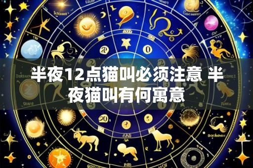 半夜12点猫叫必须注意 半夜猫叫有何寓意