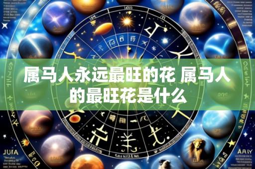 属马人永远最旺的花 属马人的最旺花是什么