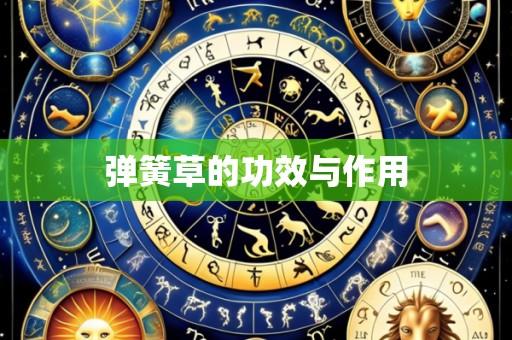 弹簧草的功效与作用