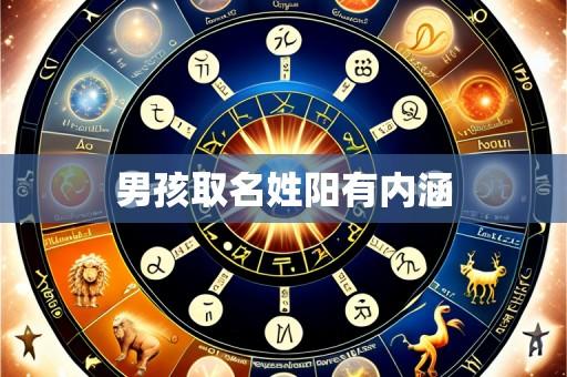 男孩取名姓阳有内涵