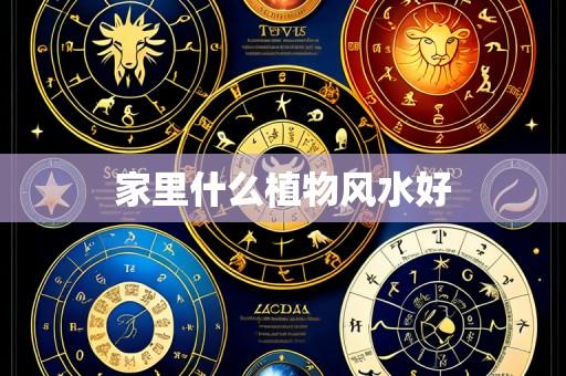 家里什么植物风水好