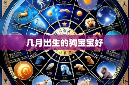 几月出生的狗宝宝好