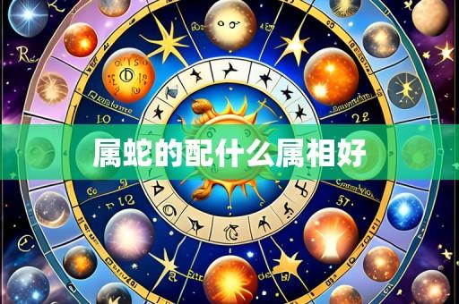 属蛇的配什么属相好