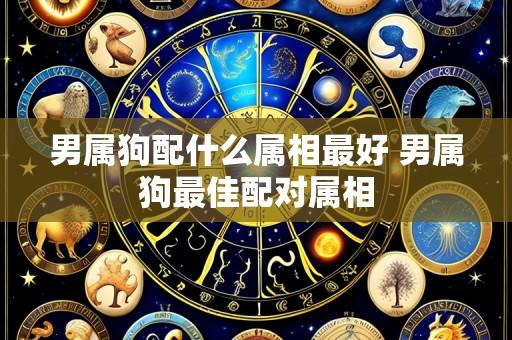 男属狗配什么属相最好 男属狗最佳配对属相