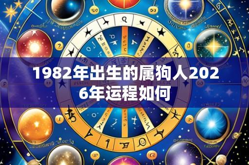 1982年出生的属狗人2026年运程如何