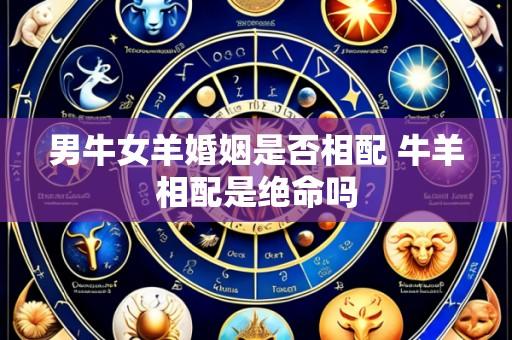 男牛女羊婚姻是否相配 牛羊相配是绝命吗