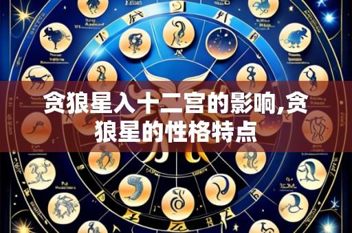 贪狼星入十二宫的影响,贪狼星的性格特点