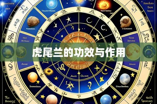 虎尾兰的功效与作用