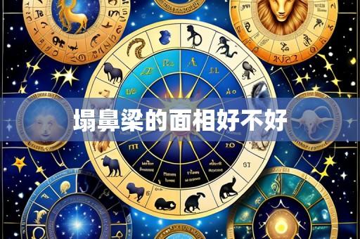 塌鼻梁的面相好不好