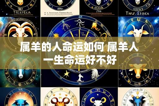 属羊的人命运如何 属羊人一生命运好不好