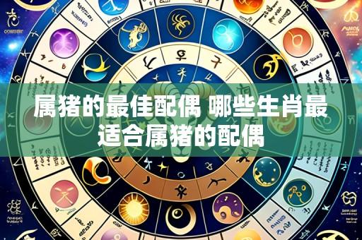 属猪的最佳配偶 哪些生肖最适合属猪的配偶