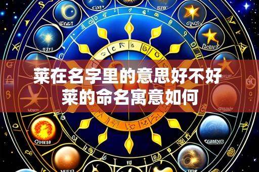 莱在名字里的意思好不好 莱的命名寓意如何