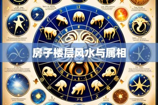 房子楼层风水与属相