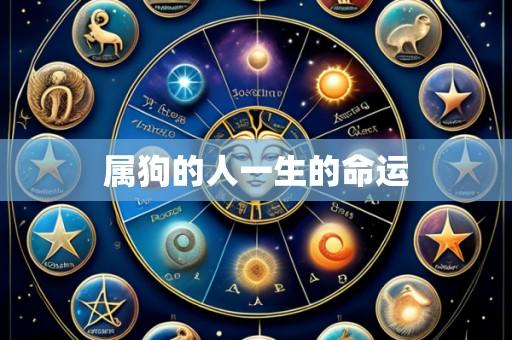 属狗的人一生的命运