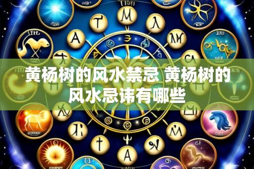 黄杨树的风水禁忌 黄杨树的风水忌讳有哪些