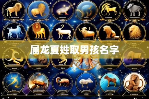 属龙夏姓取男孩名字
