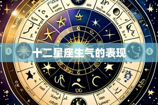 十二星座生气的表现