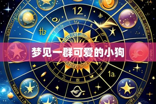 梦见一群可爱的小狗