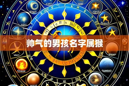 帅气的男孩名字属猴