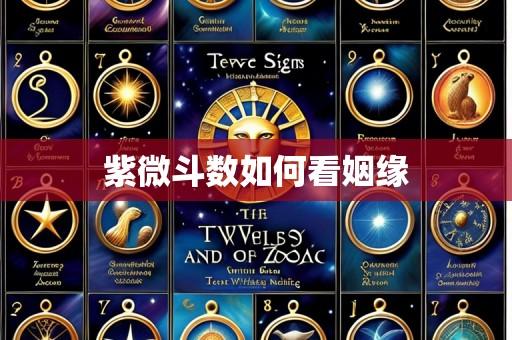 紫微斗数如何看姻缘