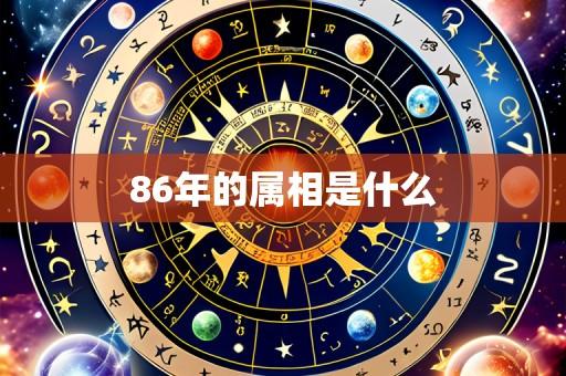 86年的属相是什么