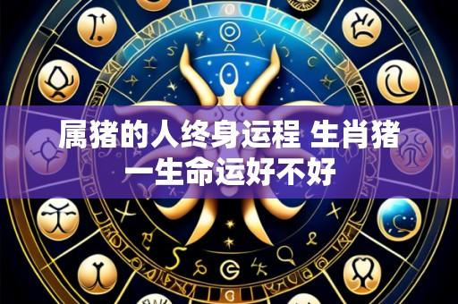 属猪的人终身运程 生肖猪一生命运好不好