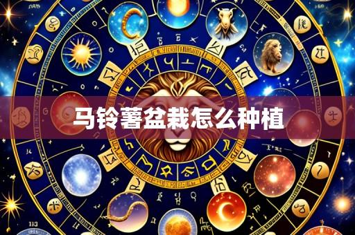马铃薯盆栽怎么种植