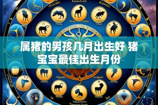 属猪的男孩几月出生好 猪宝宝最佳出生月份