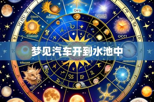 梦见汽车开到水池中