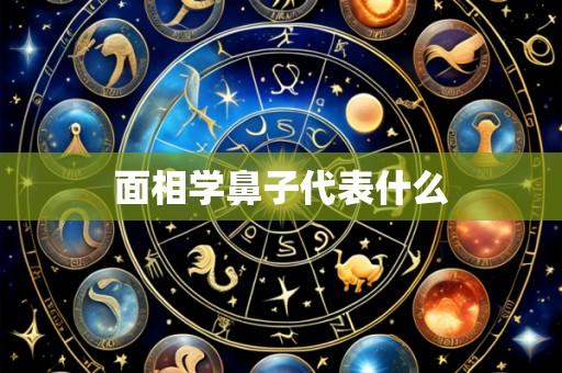 面相学鼻子代表什么