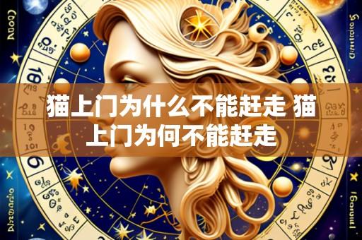 猫上门为什么不能赶走 猫上门为何不能赶走