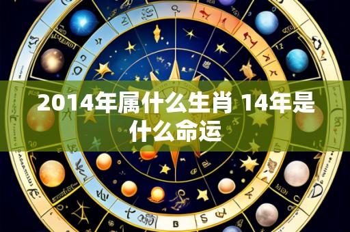 2014年属什么生肖 14年是什么命运