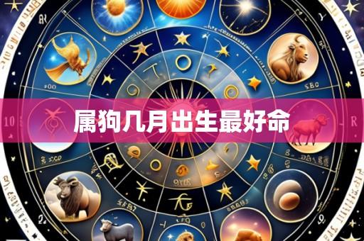 属狗几月出生最好命