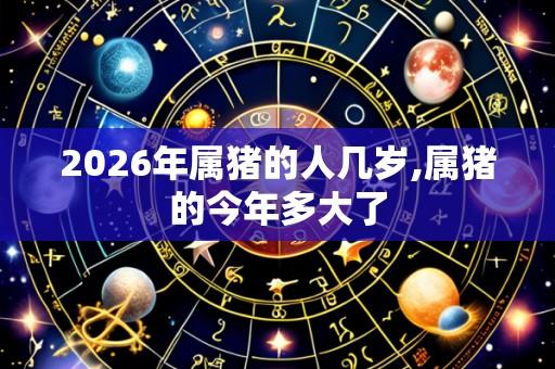 2026年属猪的人几岁,属猪的今年多大了