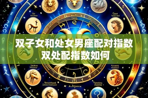双子女和处女男座配对指数 双处配指数如何