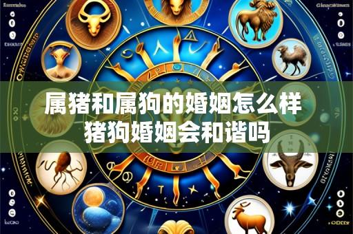 属猪和属狗的婚姻怎么样 猪狗婚姻会和谐吗