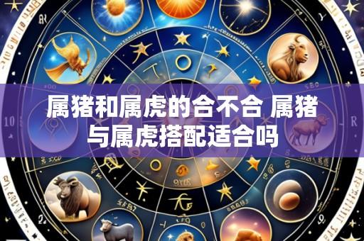 属猪和属虎的合不合 属猪与属虎搭配适合吗