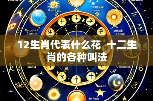 12生肖代表什么花  十二生肖的各种叫法