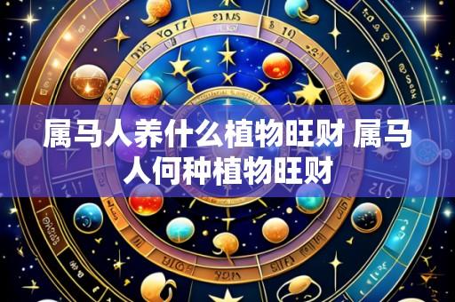 属马人养什么植物旺财 属马人何种植物旺财