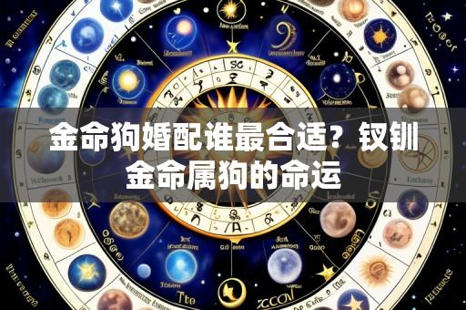 金命狗婚配谁最合适?钗钏金命属狗的命运