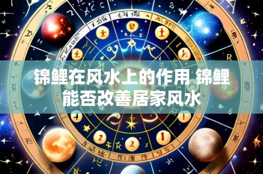 锦鲤在风水上的作用 锦鲤能否改善居家风水