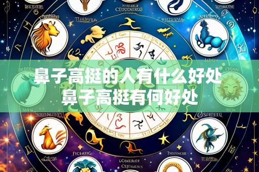 鼻子高挺的人有什么好处 鼻子高挺有何好处