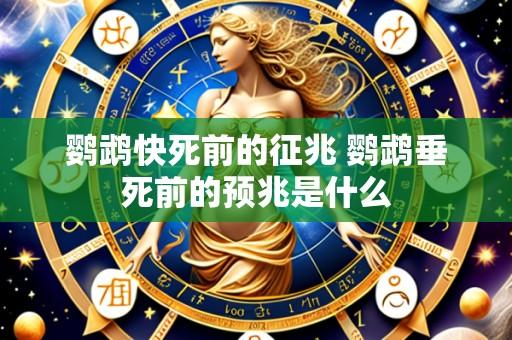 鹦鹉快死前的征兆 鹦鹉垂死前的预兆是什么