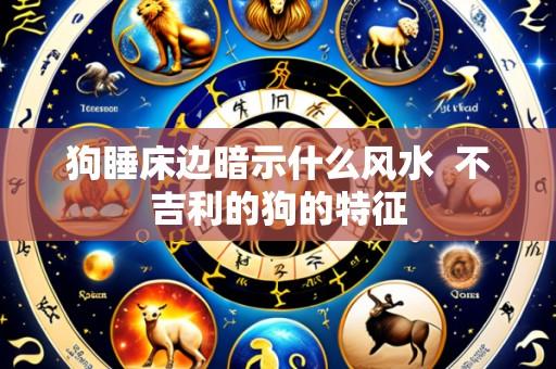 狗睡床边暗示什么风水 不吉利的狗的特征