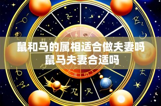 鼠和马的属相适合做夫妻吗 鼠马夫妻合适吗