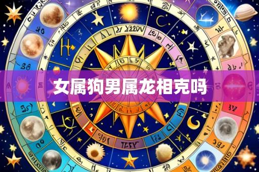 女属狗男属龙相克吗