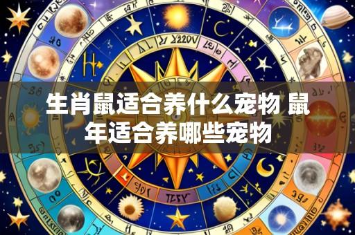 生肖鼠适合养什么宠物 鼠年适合养哪些宠物